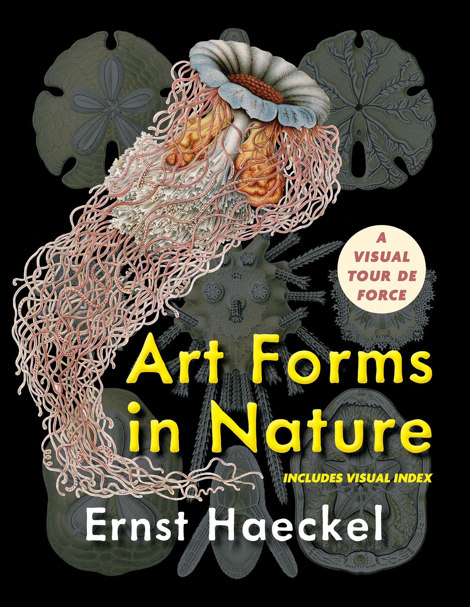 Vorderes Coverbild Art Forms in Nature (Dover Pictorial Archive)