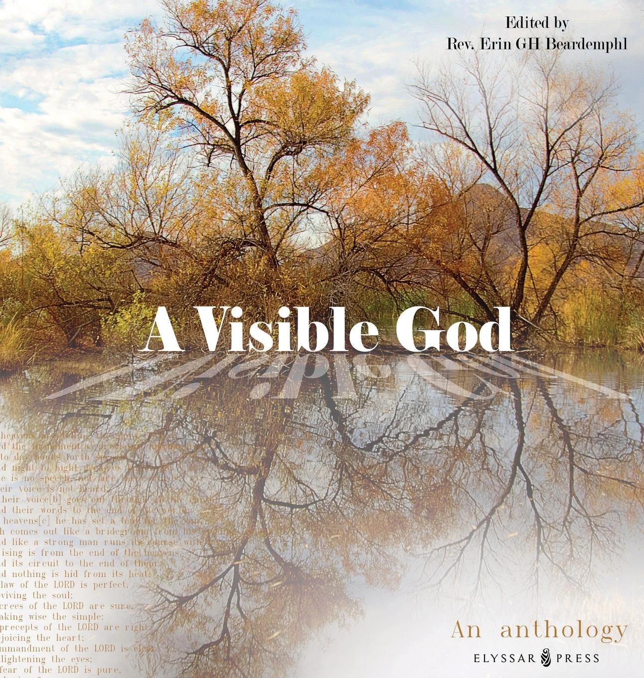 Vorderes Coverbild A Visible God