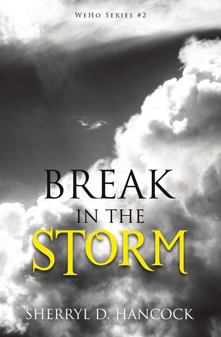 Vorderes Coverbild Break in the Storm