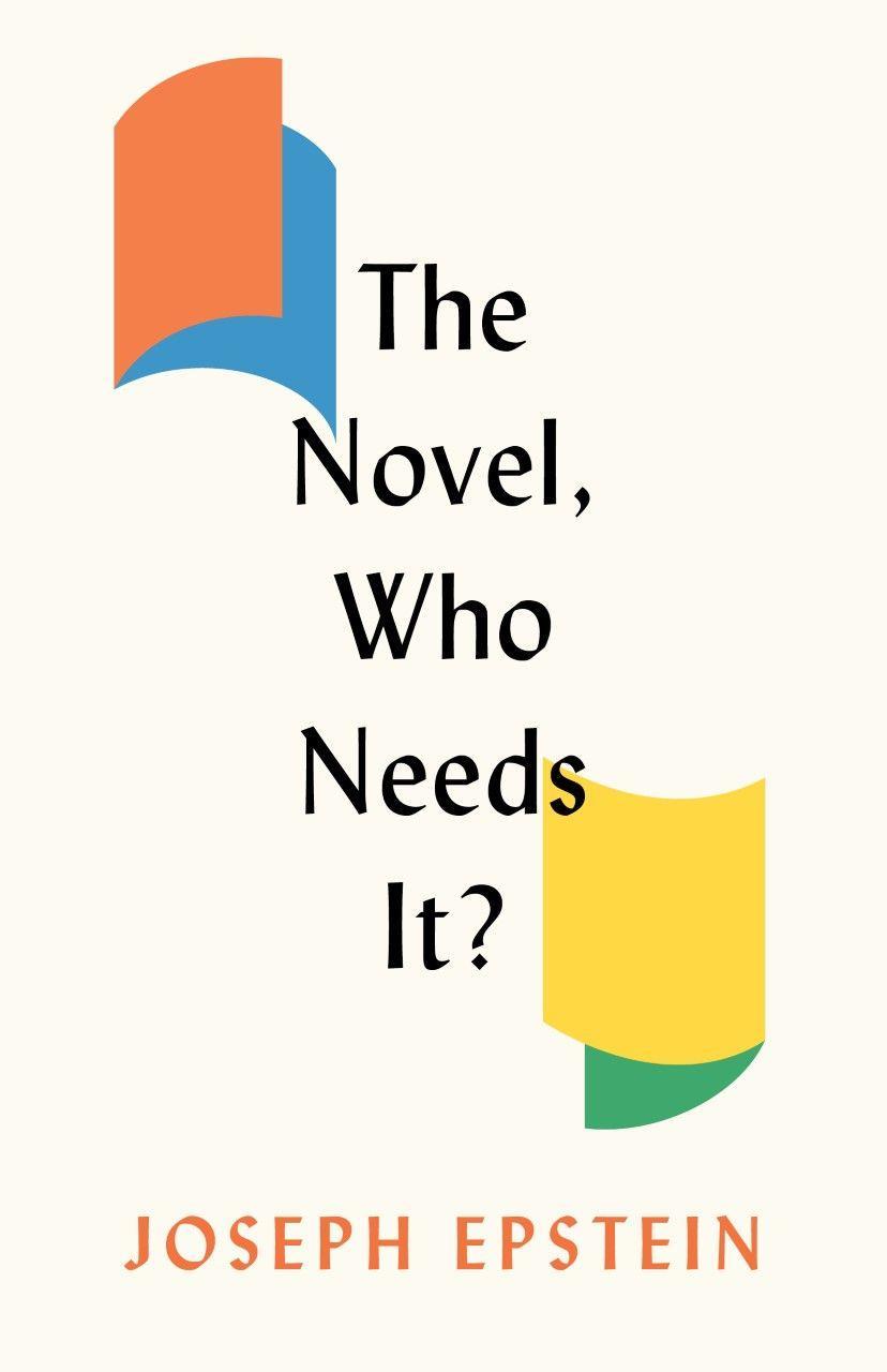 Vorderes Coverbild The Novel, Who Needs It?