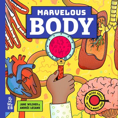 Vorderes Coverbild Marvelous Body