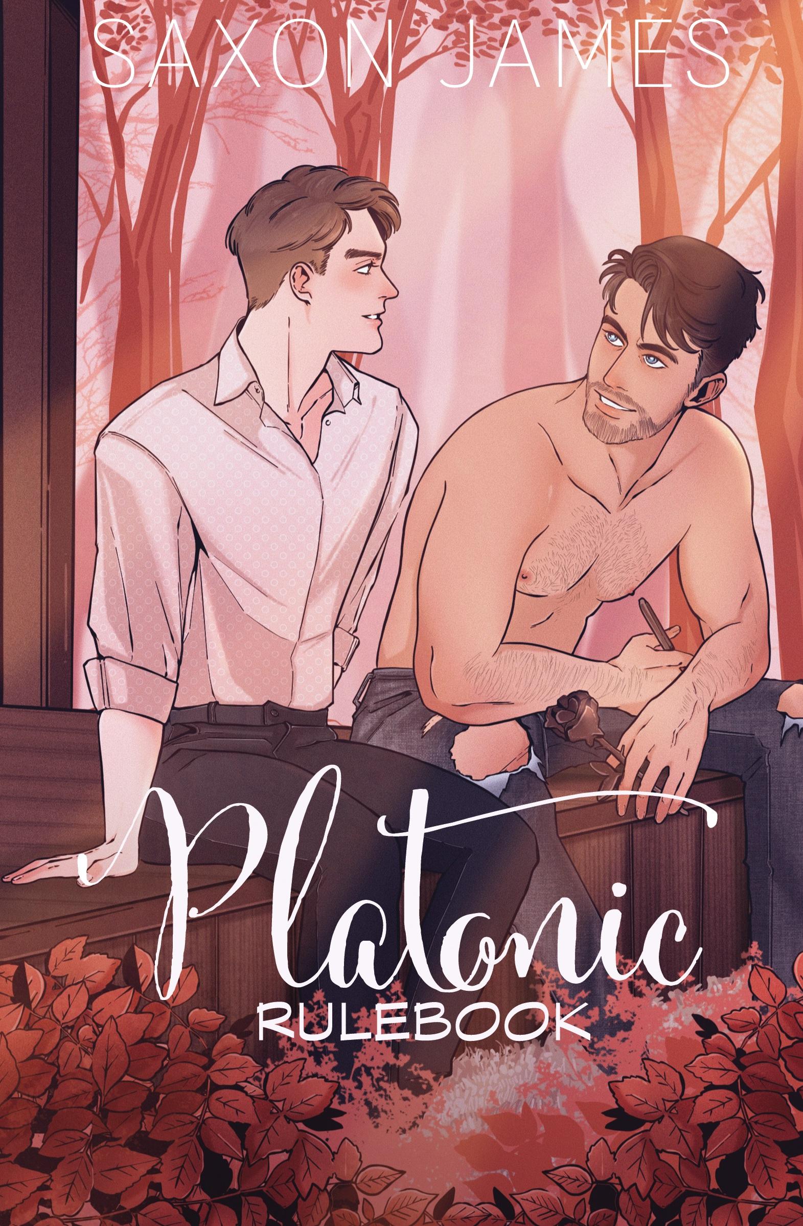 Vorderes Coverbild Platonic Rulebook