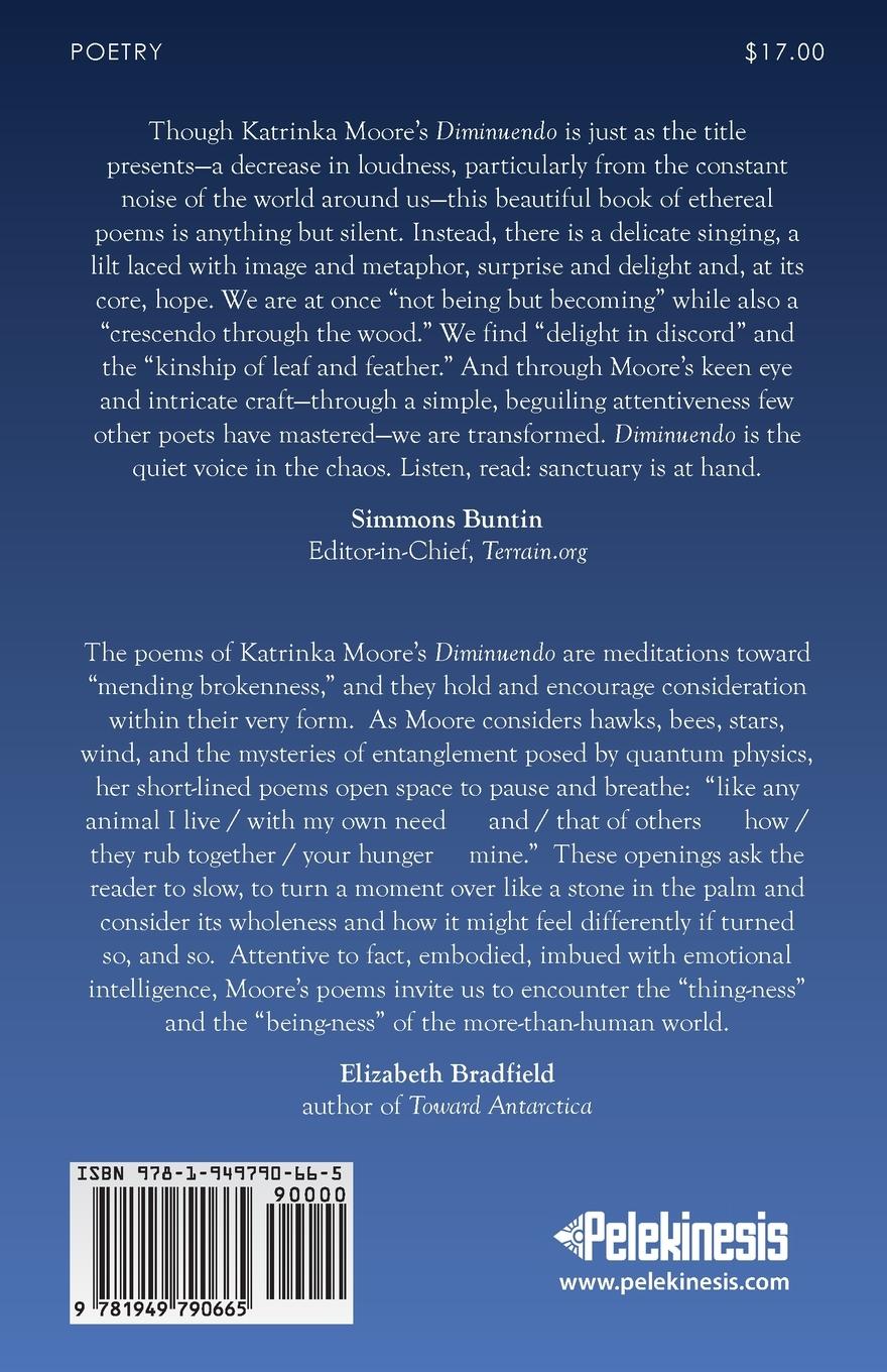 Rückseitencover Diminuendo