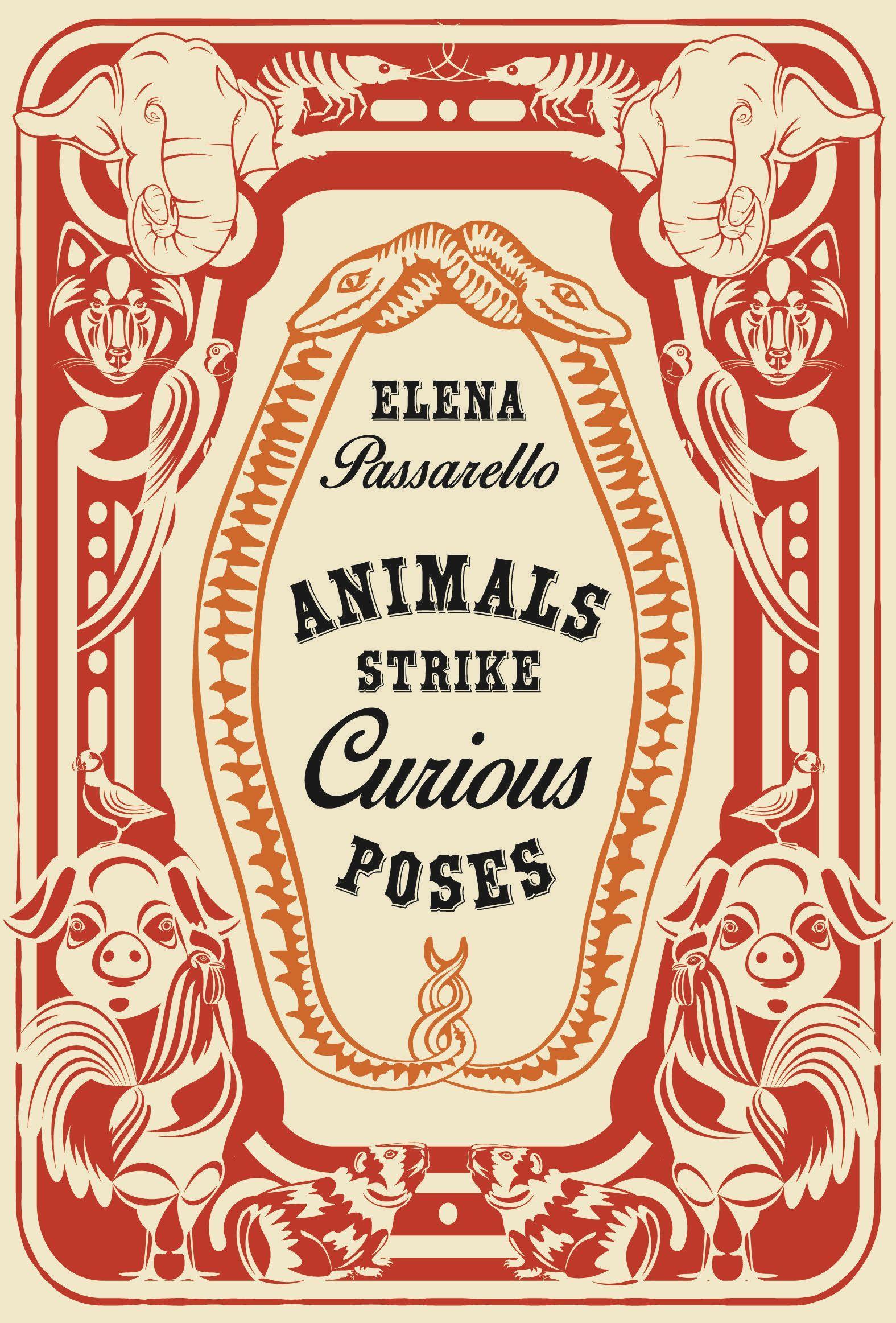 Vorderes Coverbild Animals Strike Curious Poses