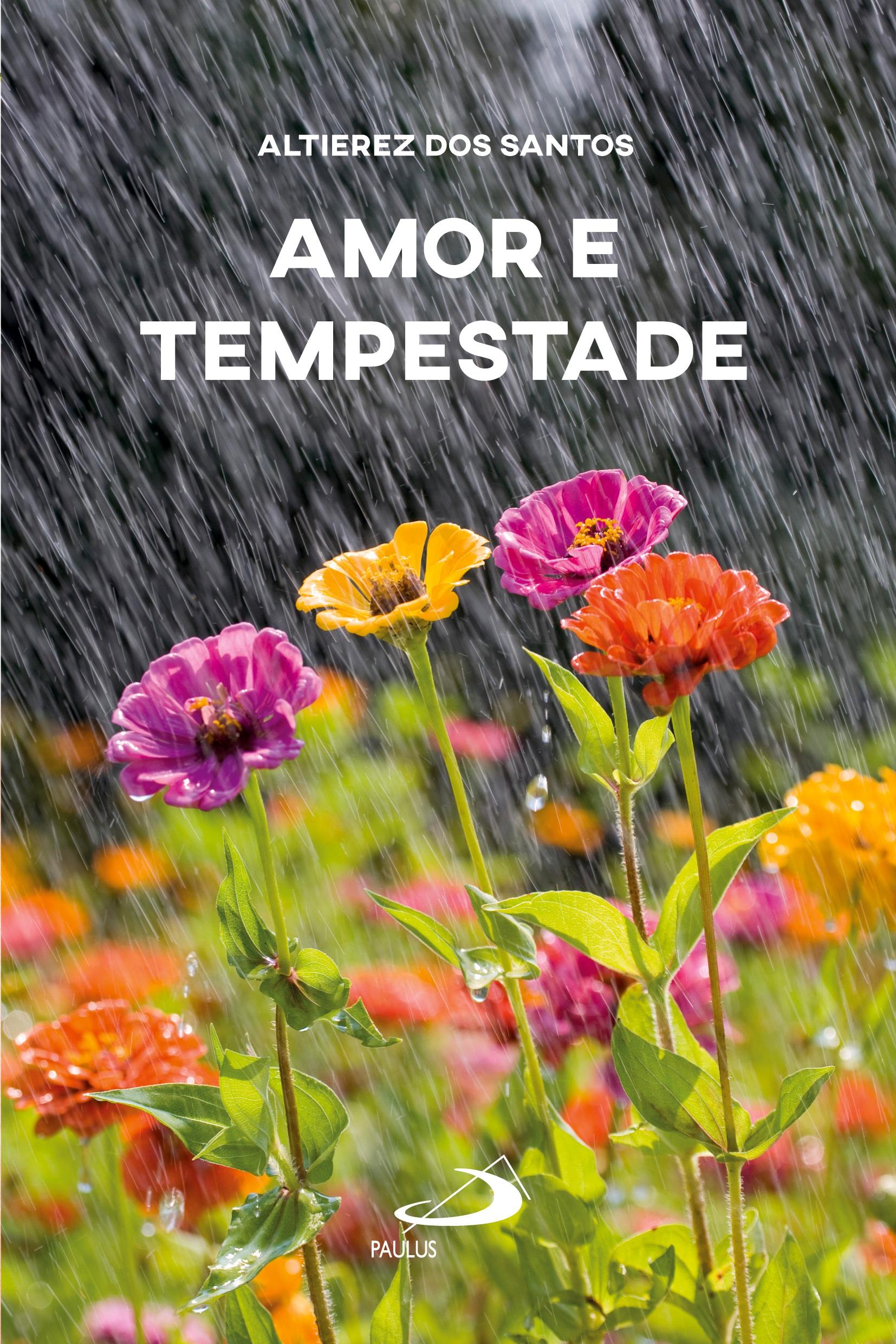 Vorderes Coverbild Amor e tempestade