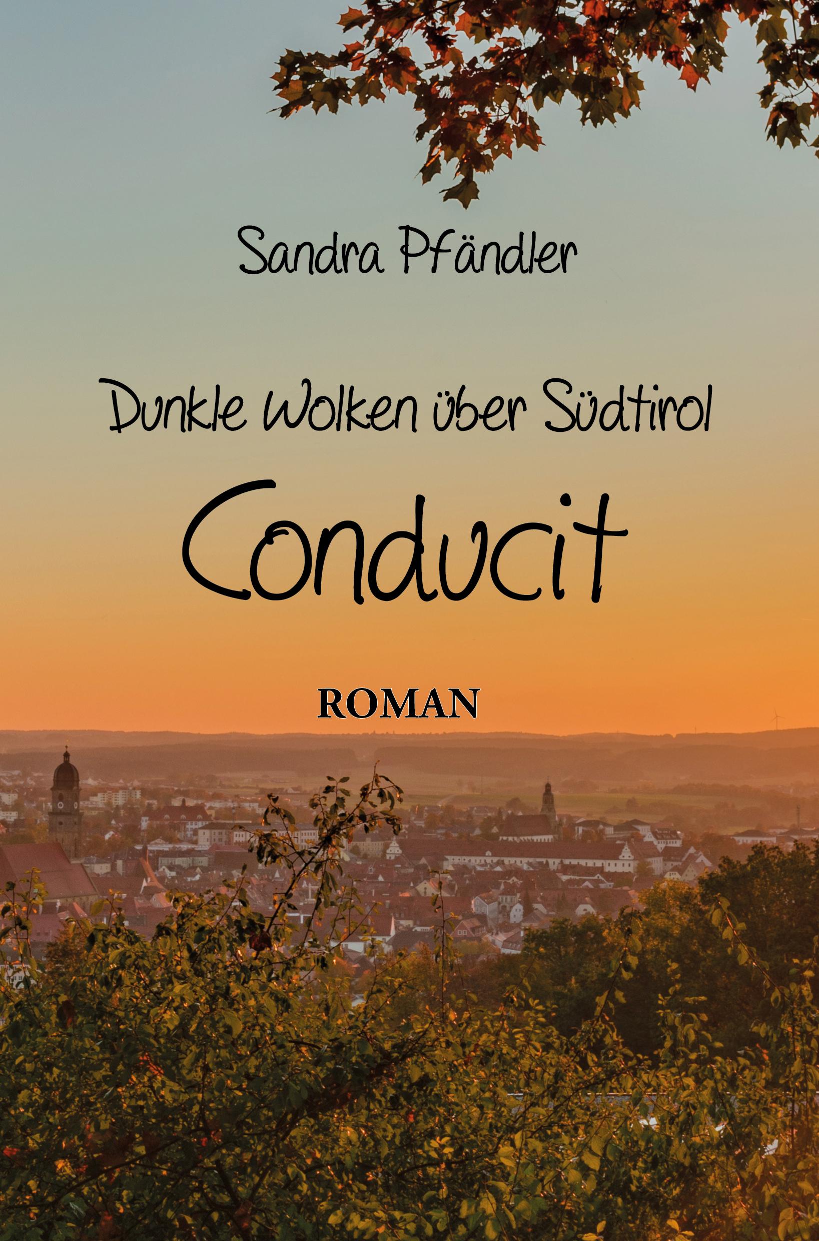 Vorderes Coverbild Dunkle Wolken über Südtirol - Conducit