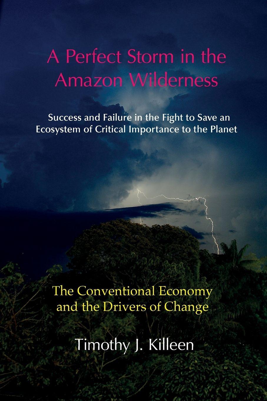 Vorderes Coverbild A Perfect Storm in the Amazon. Volume 1