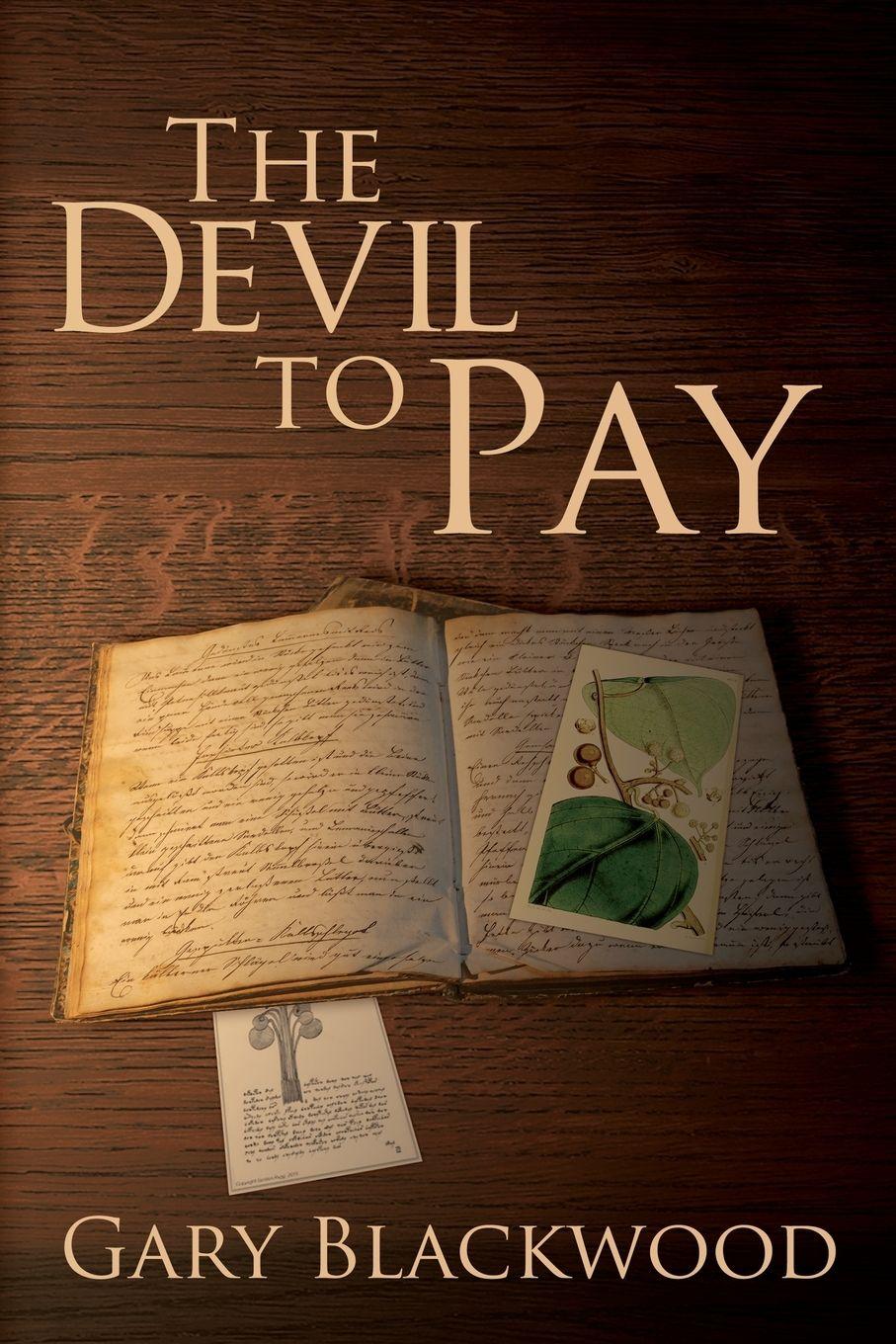 Vorderes Coverbild The Devil To Pay