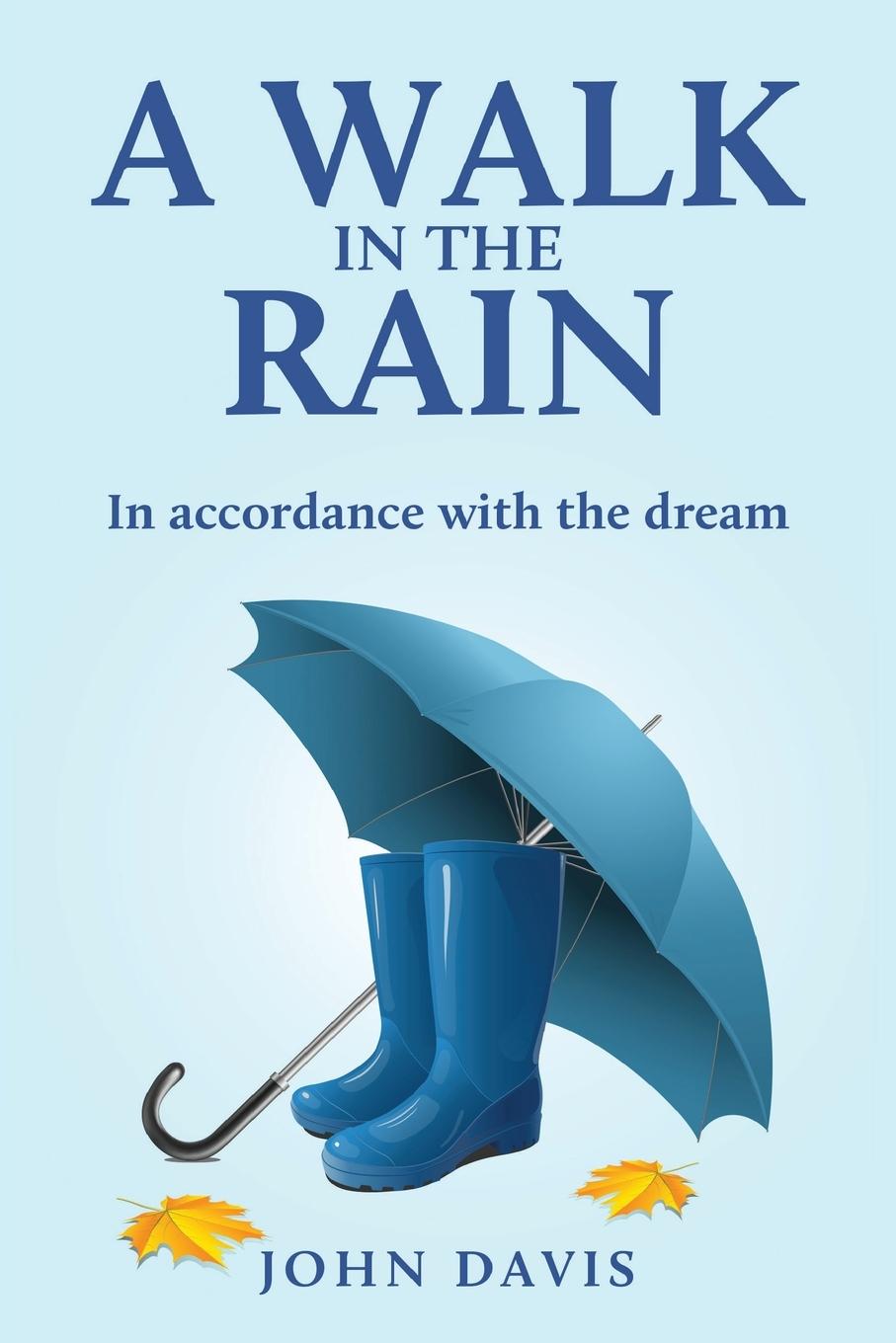 Vorderes Coverbild A Walk in the Rain