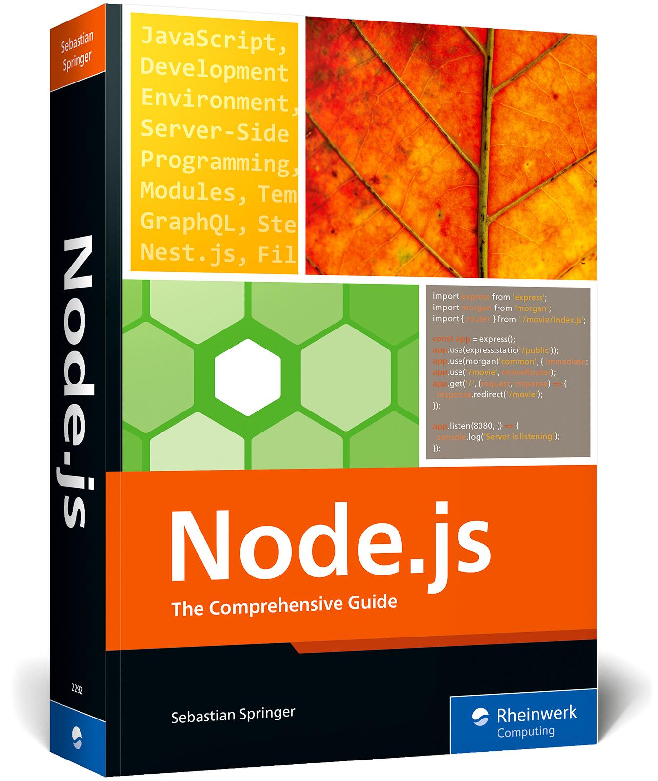 Vorderes Coverbild Node.js