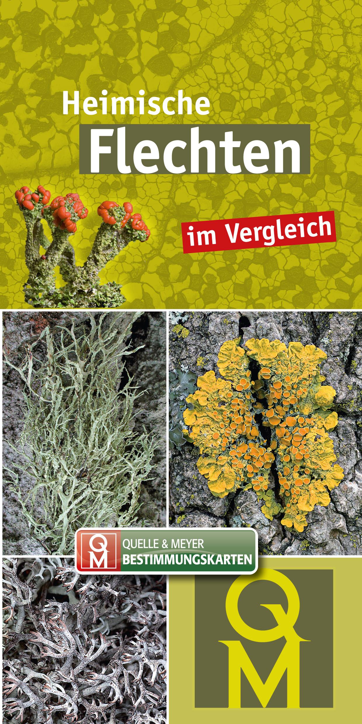 Vorderes Coverbild Heimische Flechten