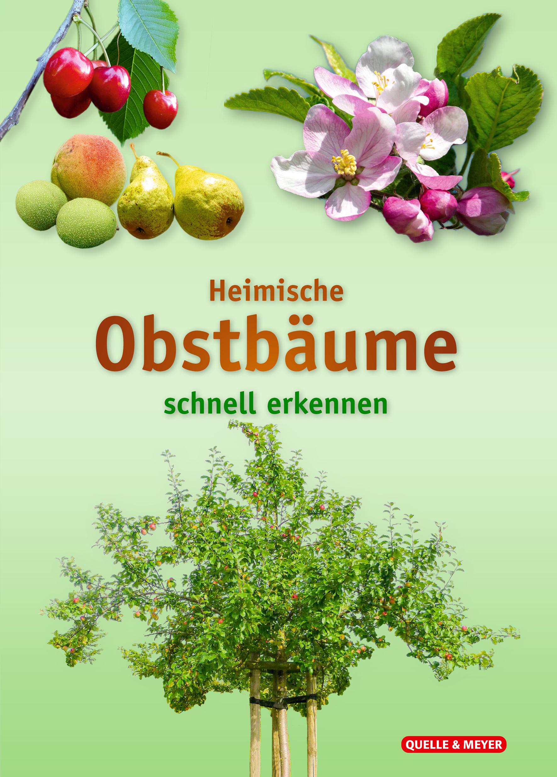 Vorderes Coverbild Heimische Obstbäume