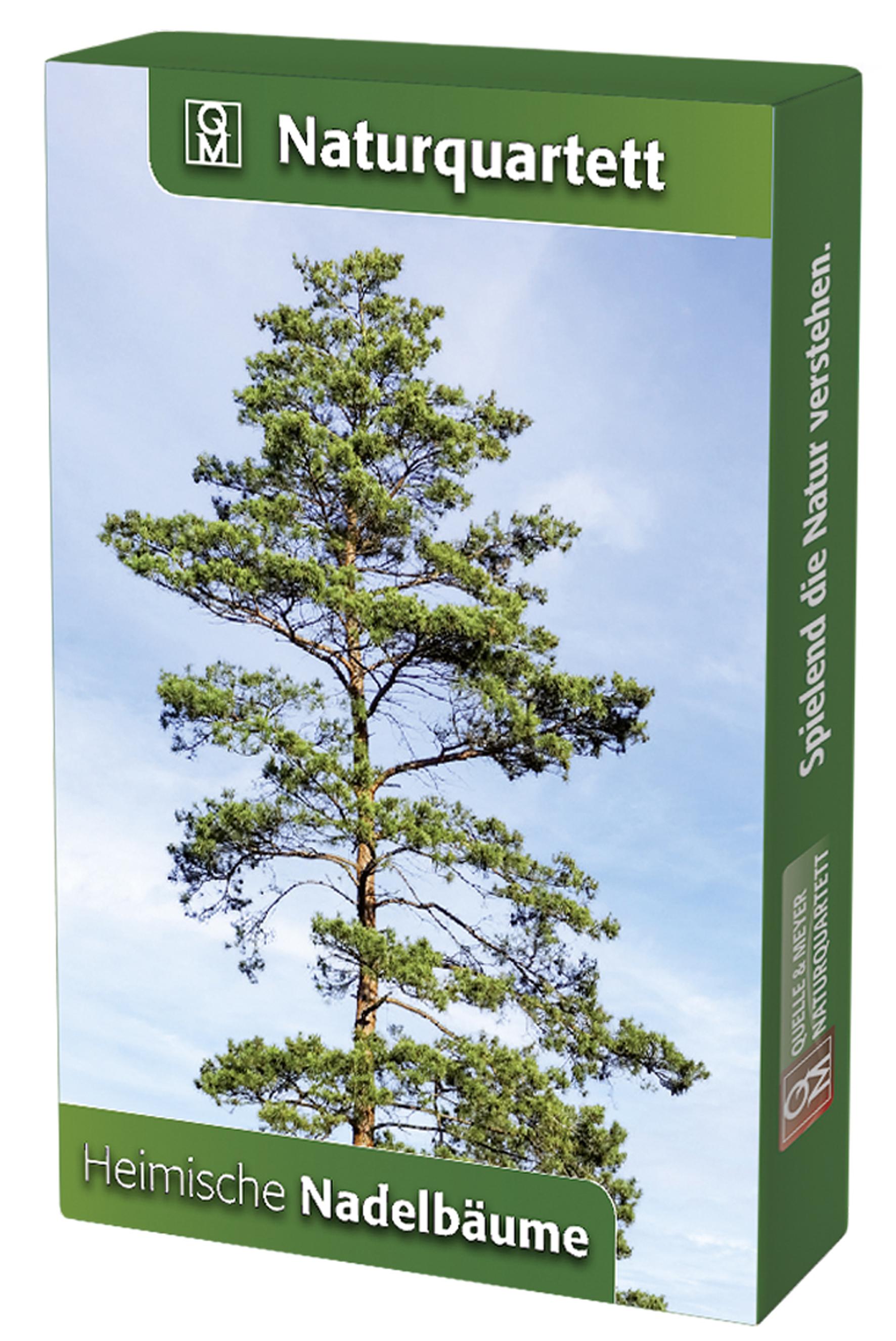Vorderes Coverbild Heimische Nadelbäume