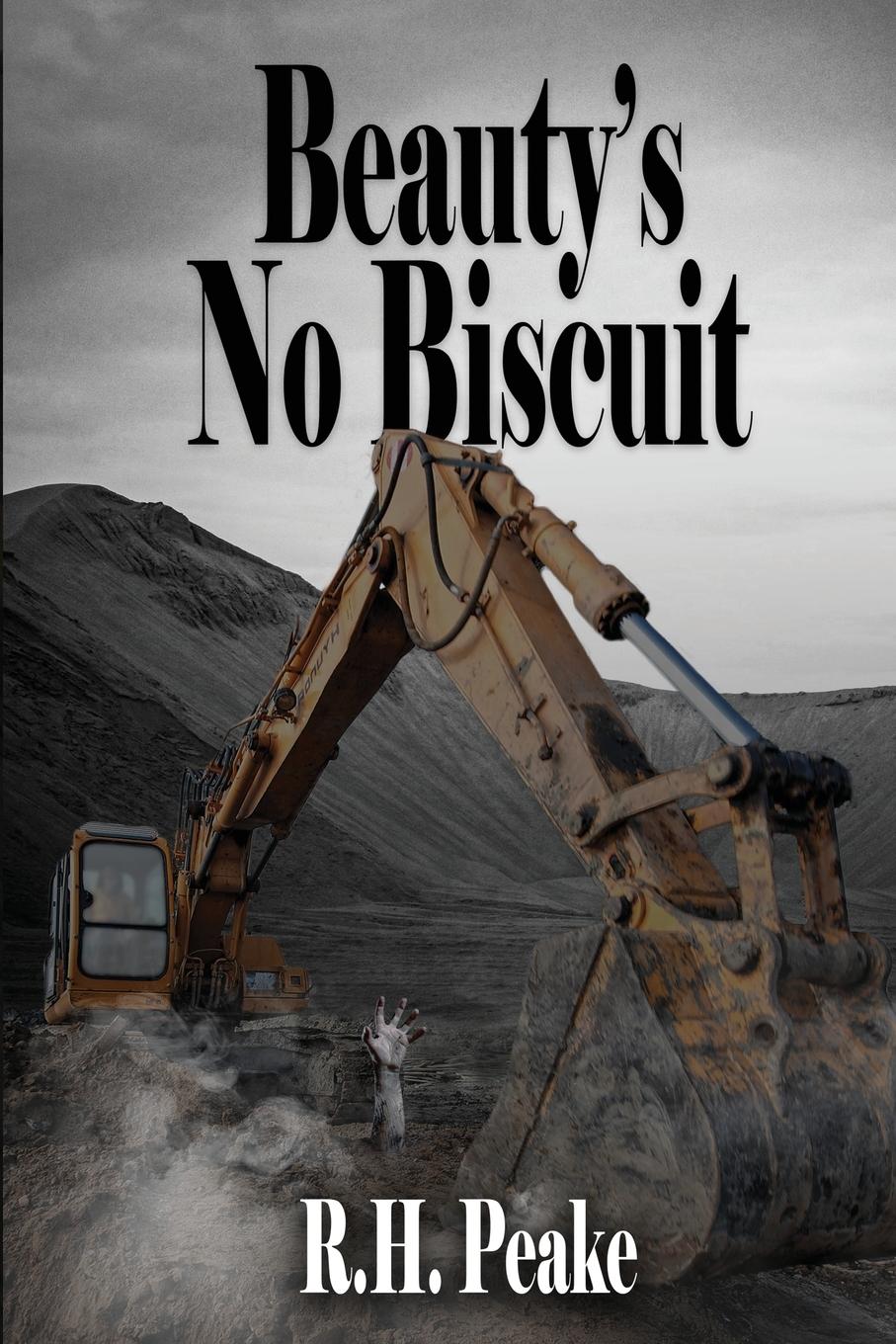 Vorderes Coverbild Beauty's No Biscuit