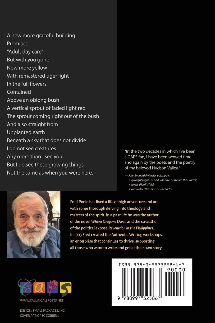 Rückseitencover Skyrocket Dive