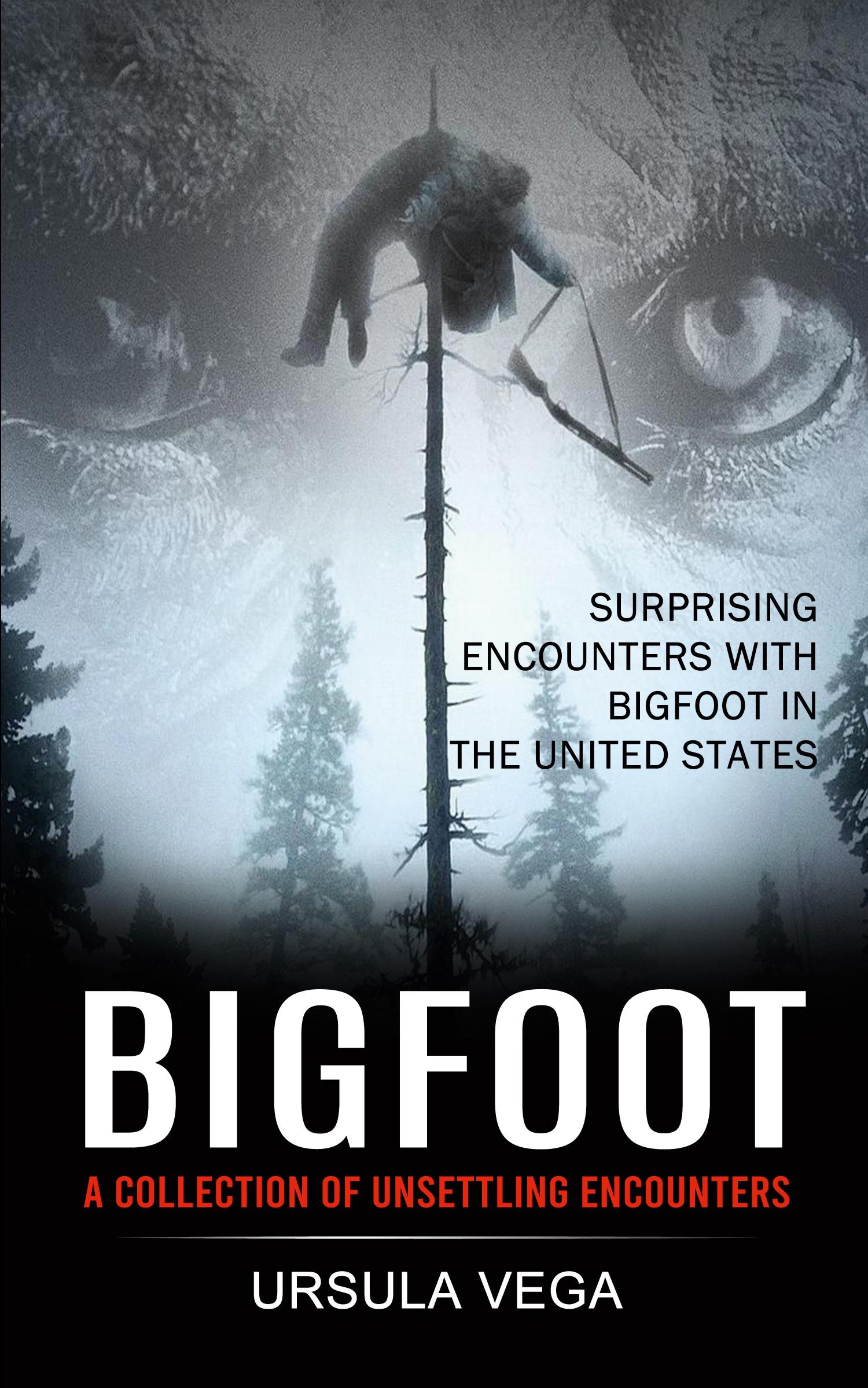 Vorderes Coverbild Bigfoot