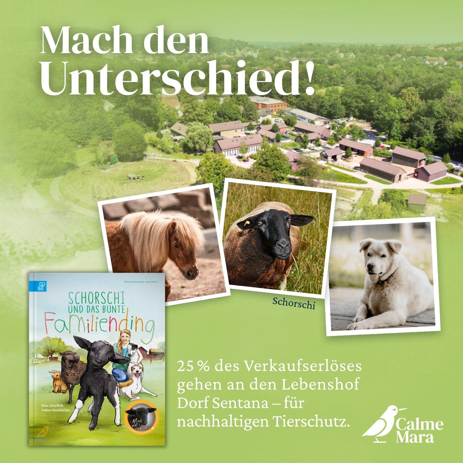 Beispielinhalt (Bild) Schorschi und das bunte Familiending