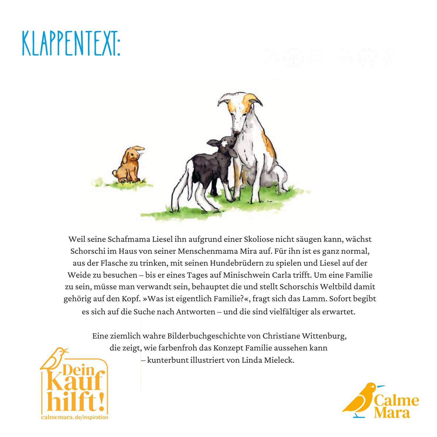 Beispielinhalt (Bild) Schorschi und das bunte Familiending