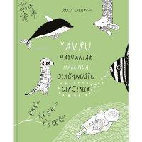 Vorderes Coverbild Yavru Hayvanlar Hakkinda Olaganüstü Gercekler
