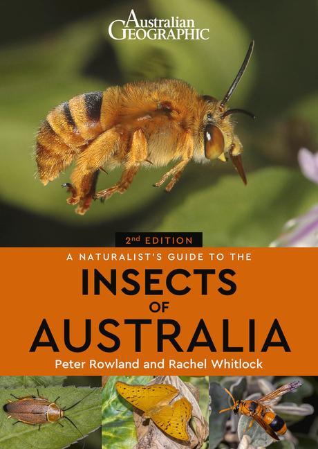 Vorderes Coverbild A Naturalist's Guide to the Insects of Australia