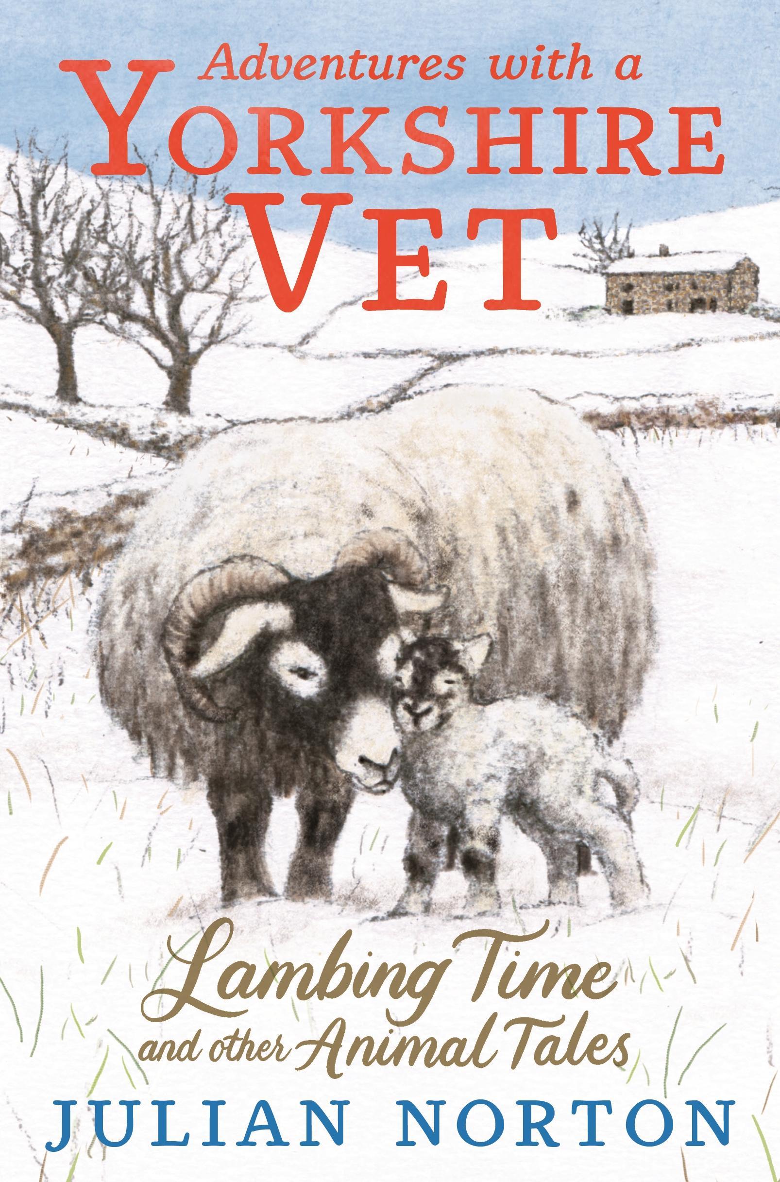 Vorderes Coverbild Adventures with a Yorkshire Vet: Lambing Time and Other Animal Tales