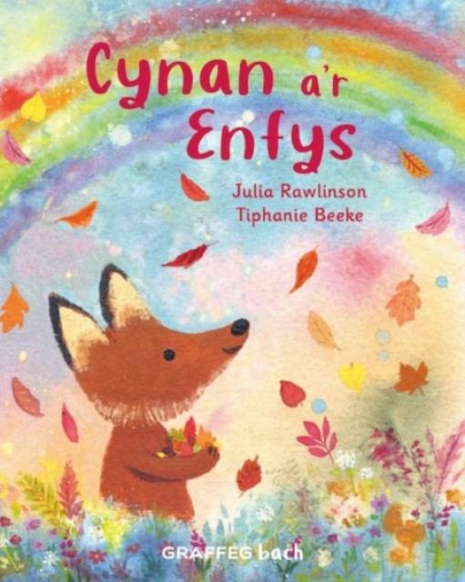 Vorderes Coverbild Cynan a'r Enfys