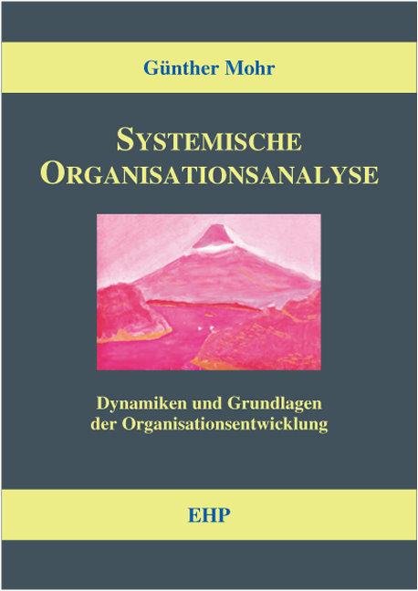 Vorderes Coverbild Systemische Organisationsanalyse