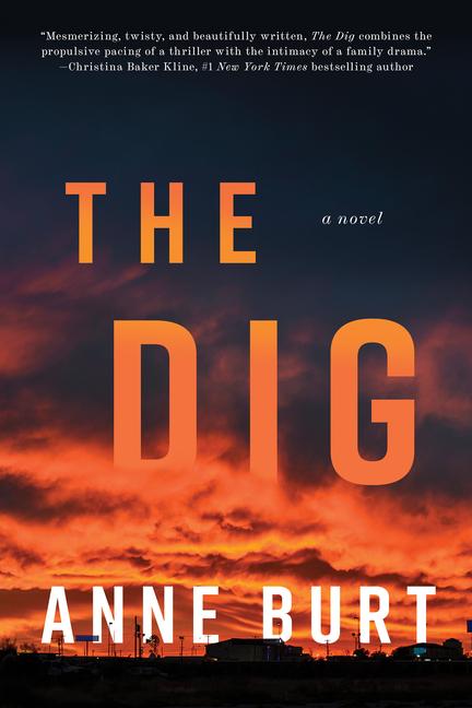 Vorderes Coverbild The Dig