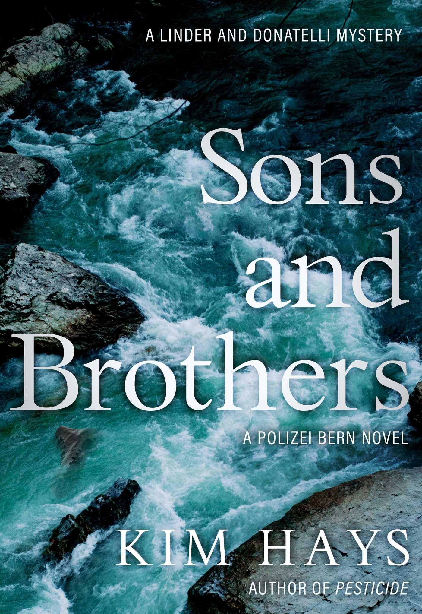Vorderes Coverbild Sons and Brothers