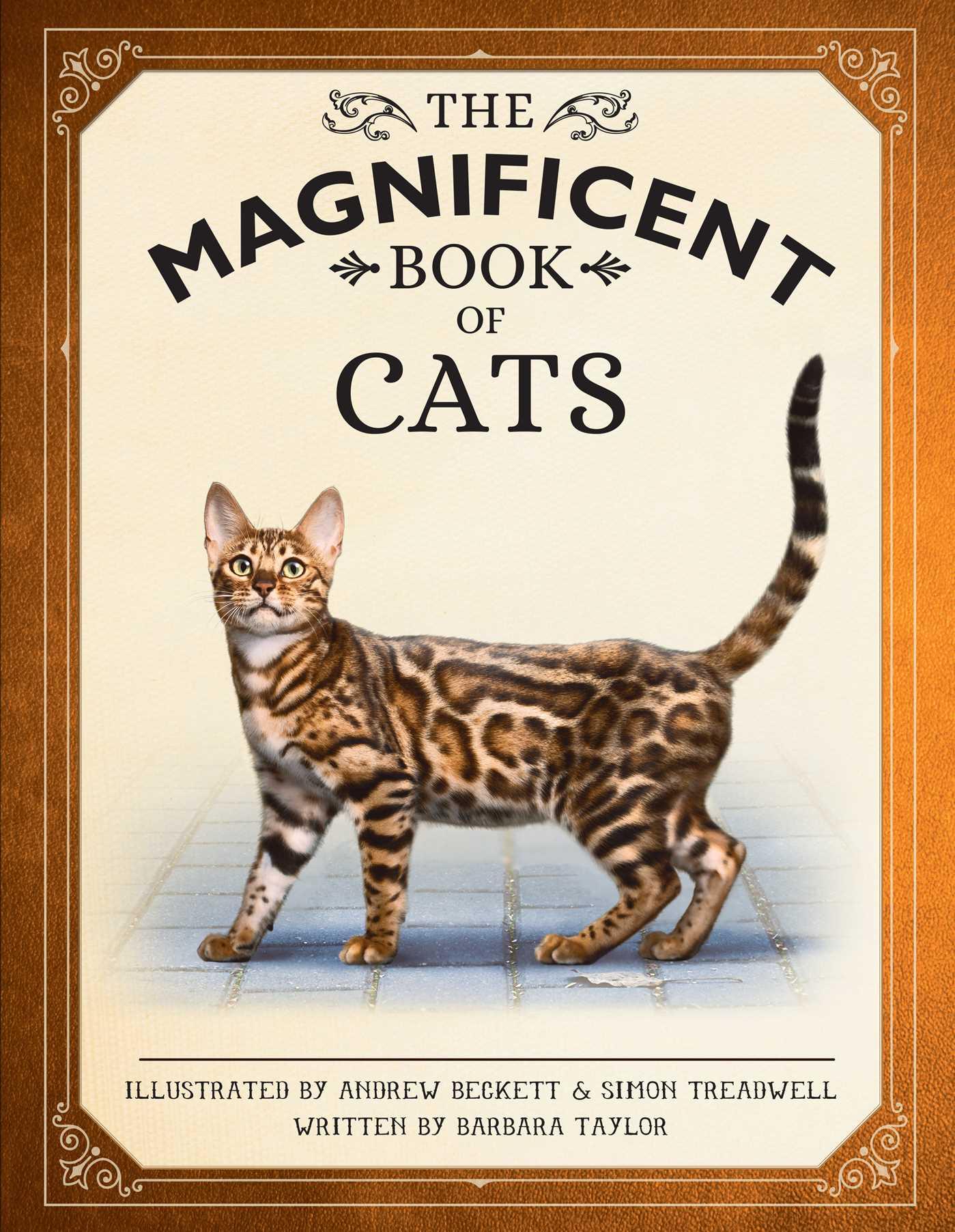 Vorderes Coverbild The Magnificent Book of Cats