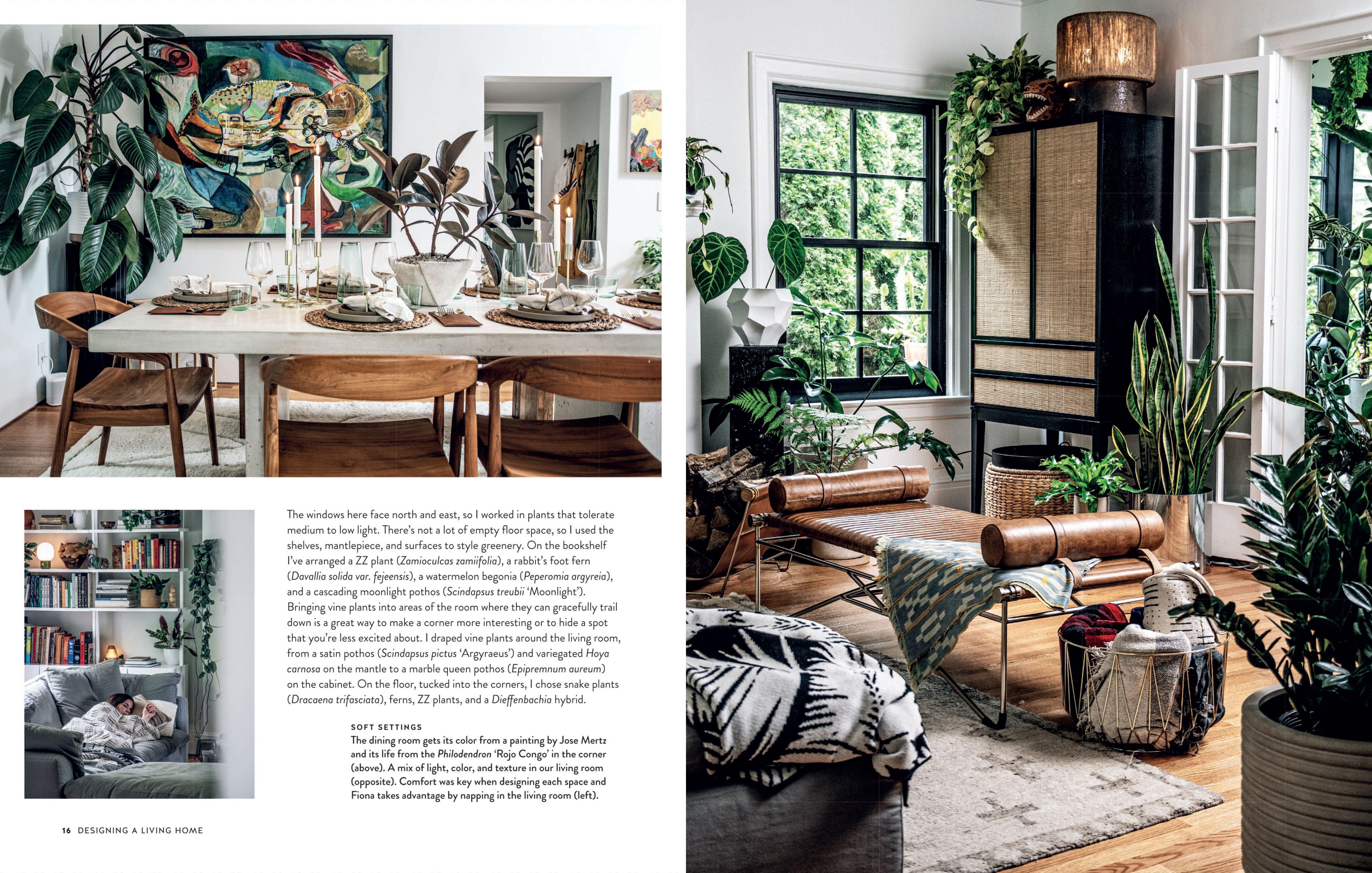 Beispielinhalt (Bild) Living Wild