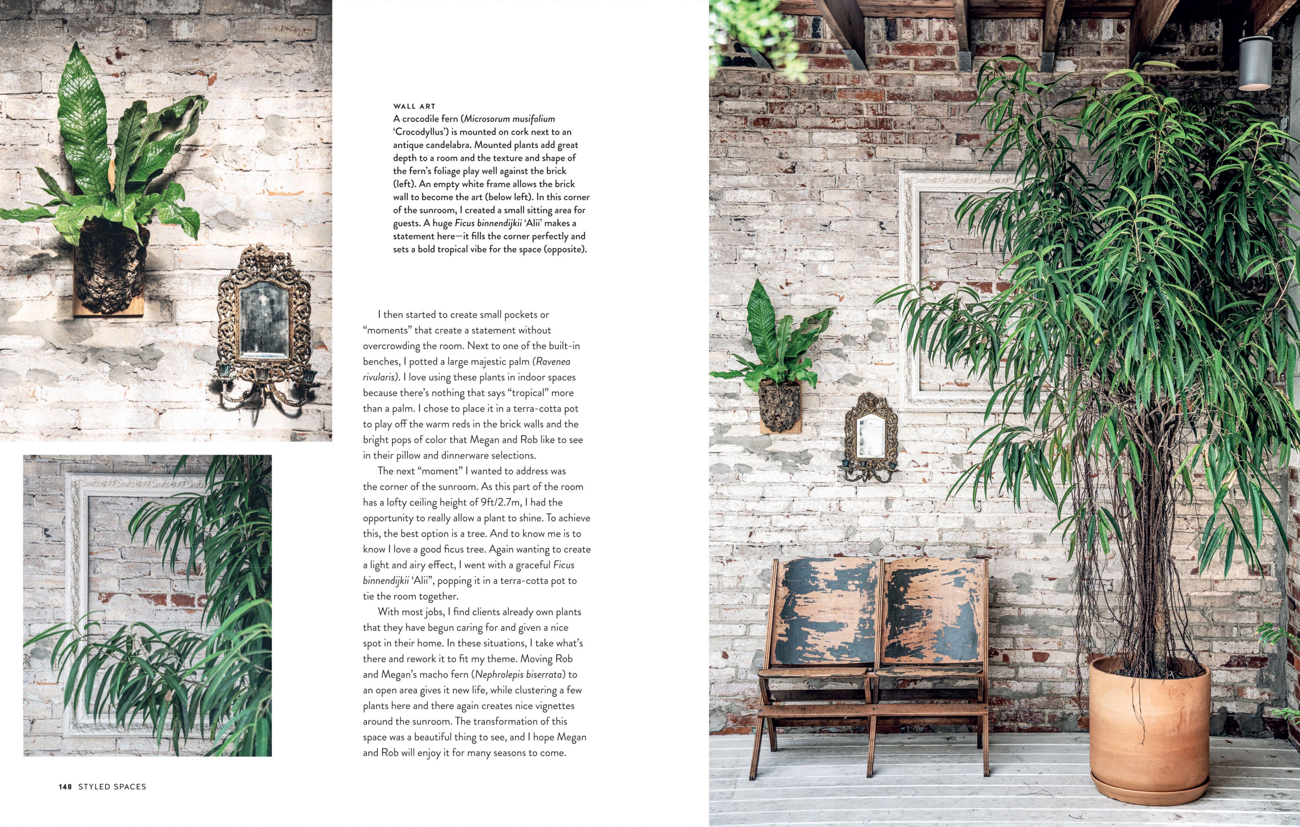 Beispielinhalt (Bild) Living Wild