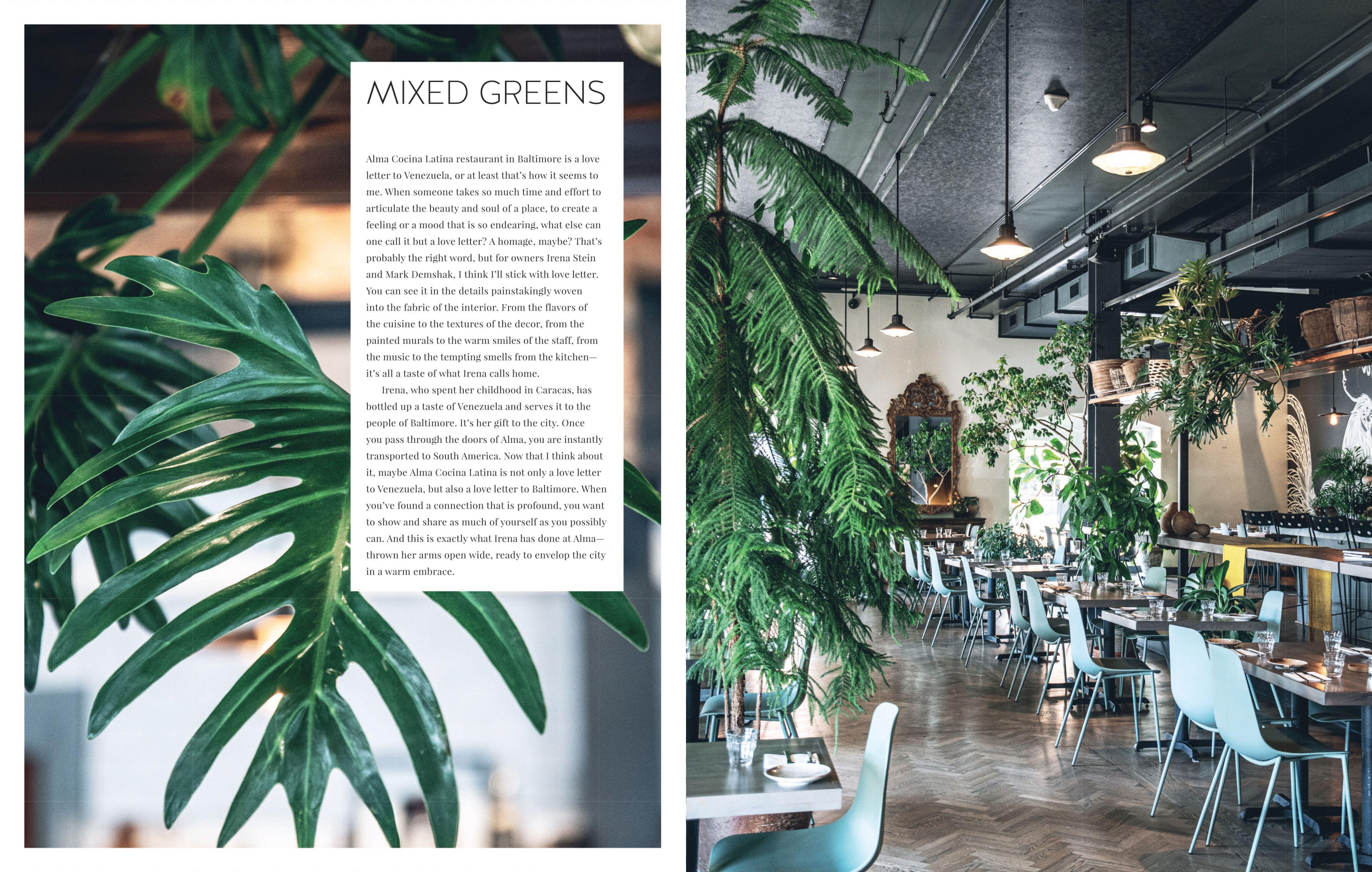 Beispielinhalt (Bild) Living Wild