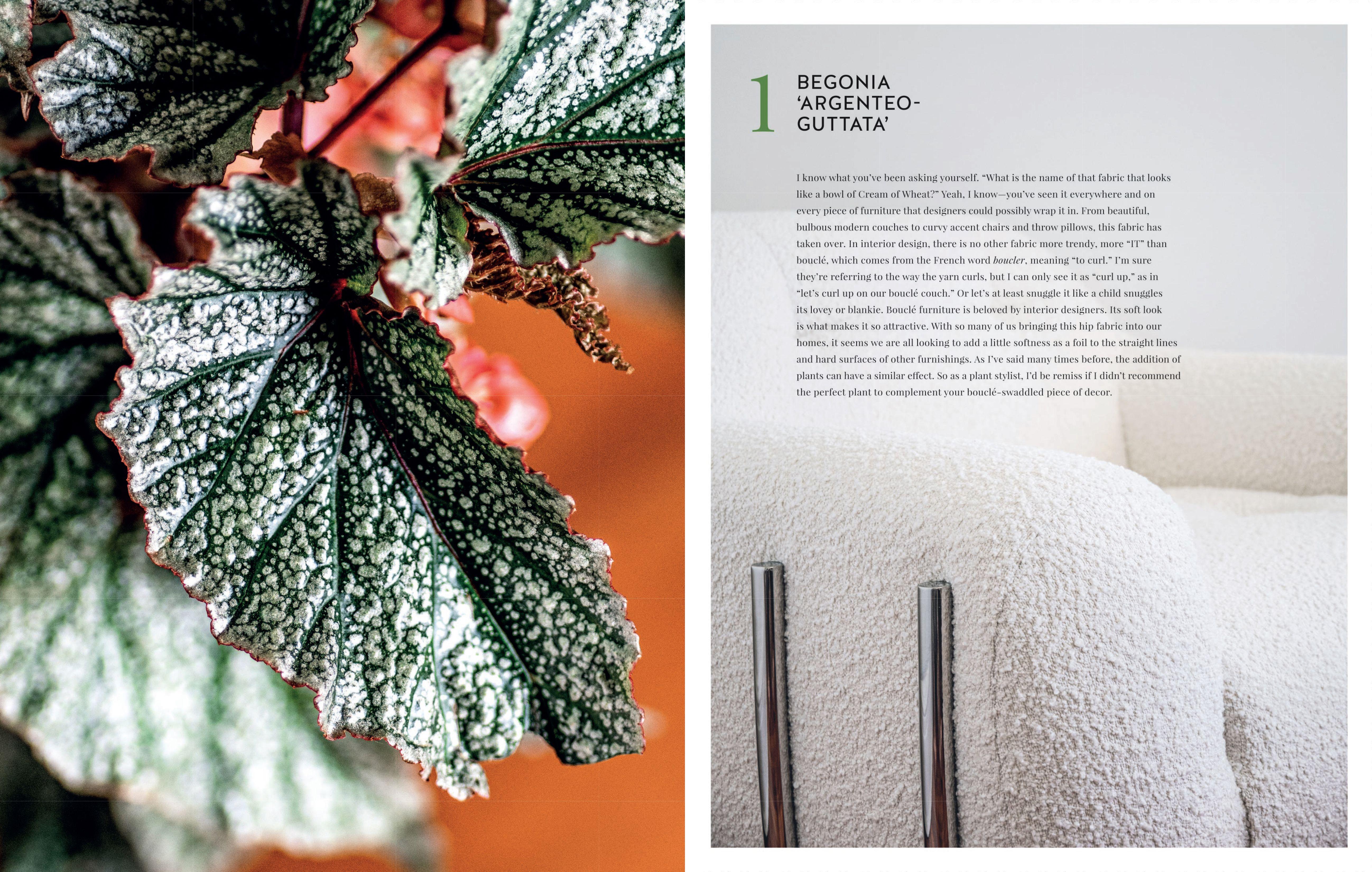 Beispielinhalt (Bild) Living Wild