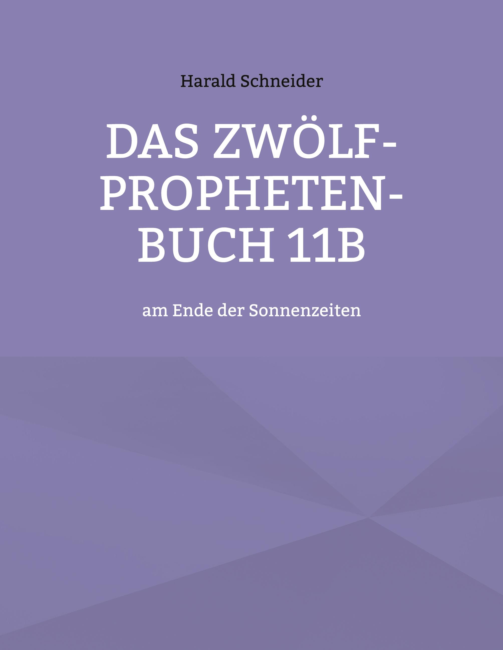 Vorderes Coverbild Das Zwölf-Propheten-Buch 11b