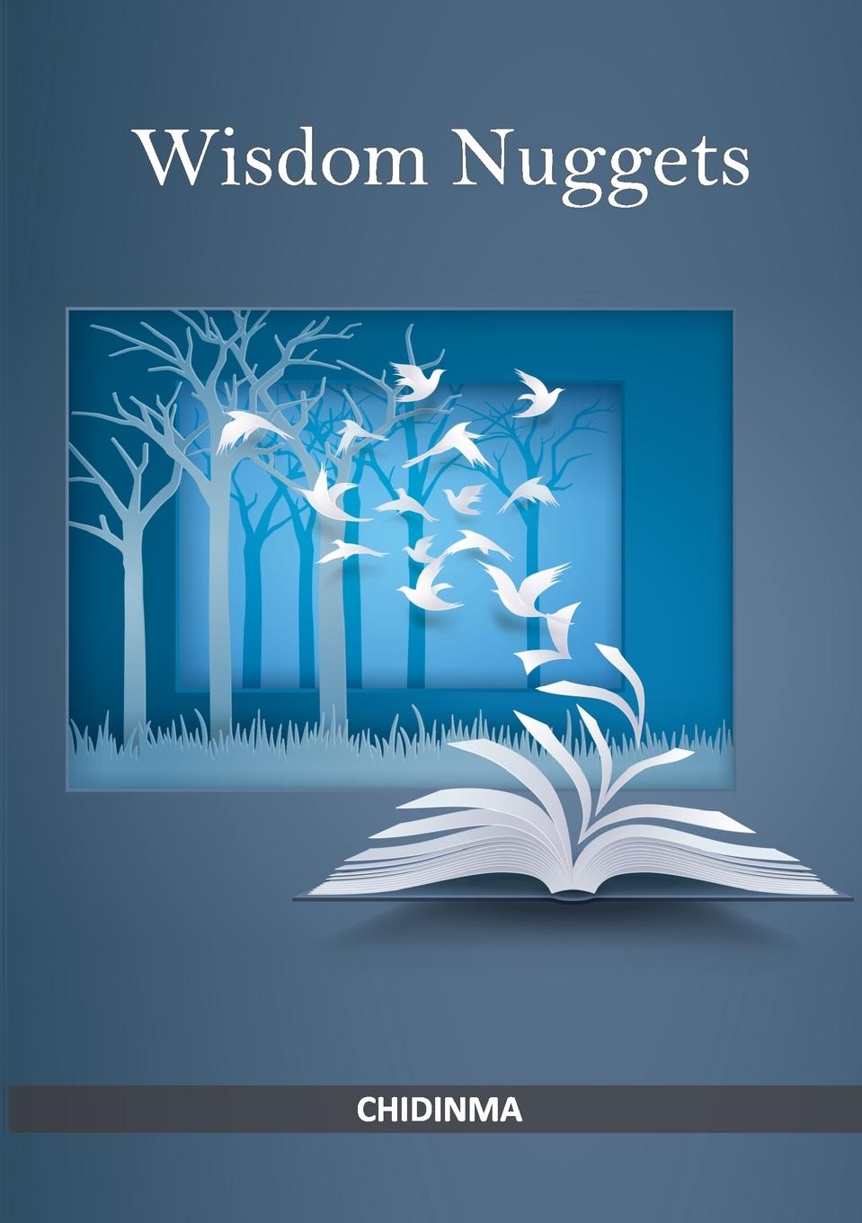 Vorderes Coverbild Wisdom Nuggets