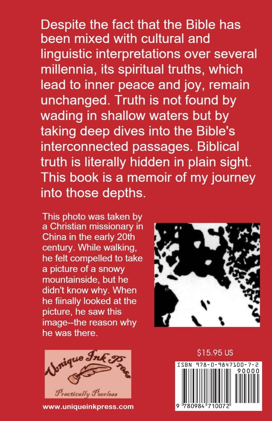 Rückseitencover Hidden in Plain Sight