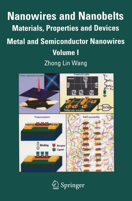 Vorderes Coverbild Nanowires and Nanobelts