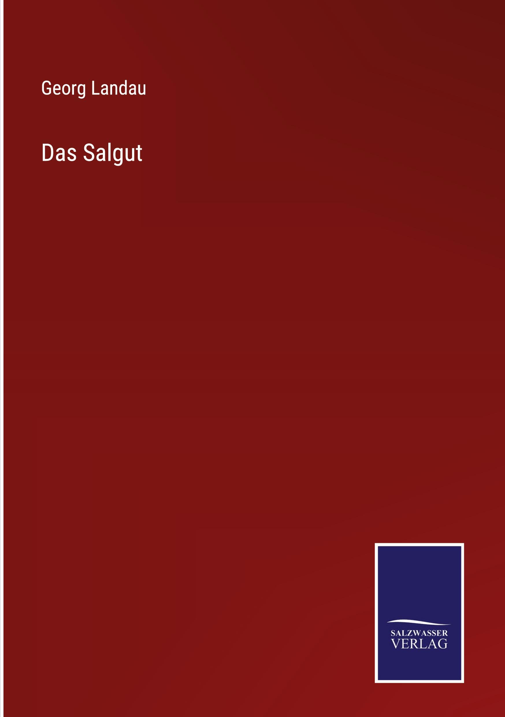 Vorderes Coverbild Das Salgut