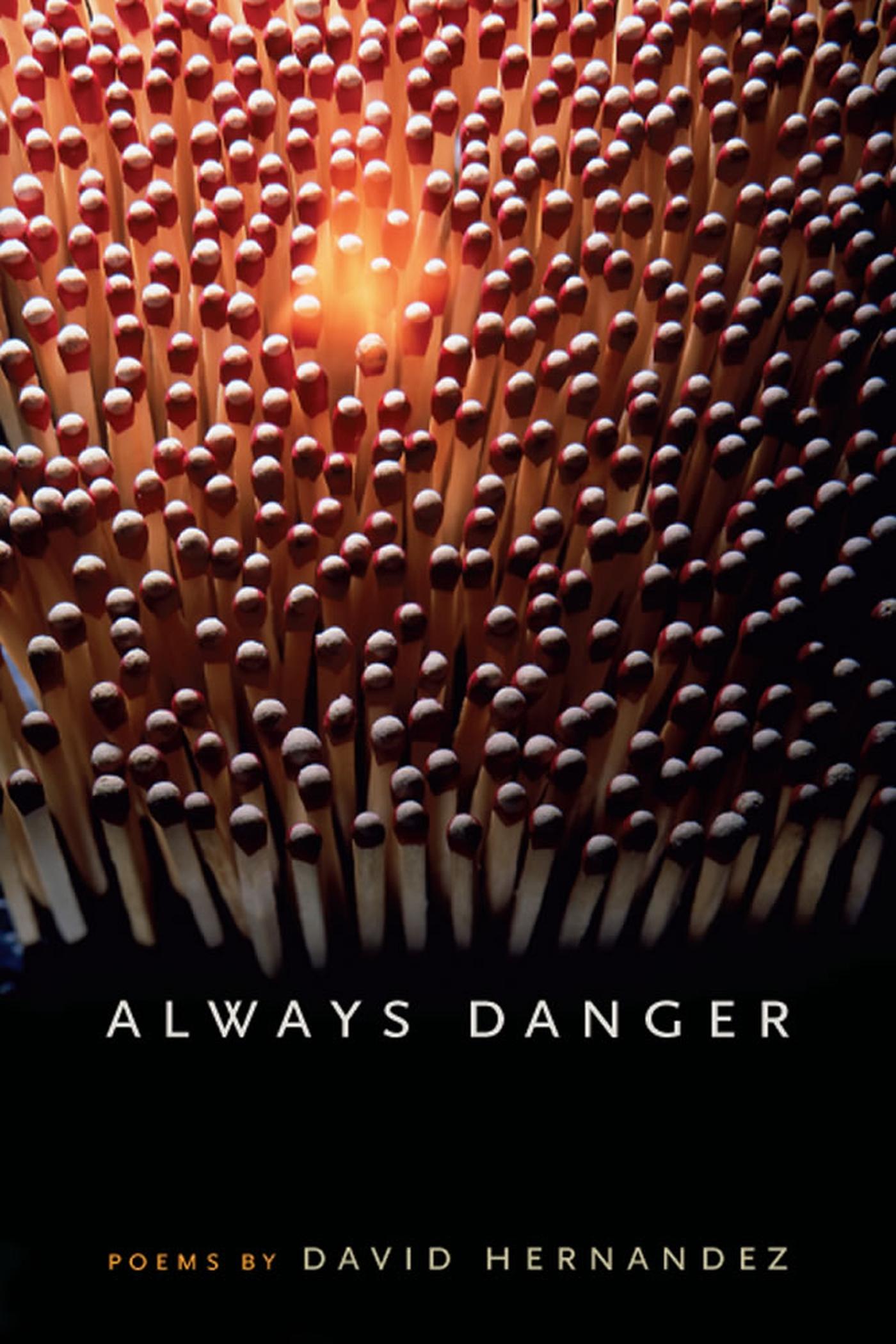 Vorderes Coverbild Always Danger