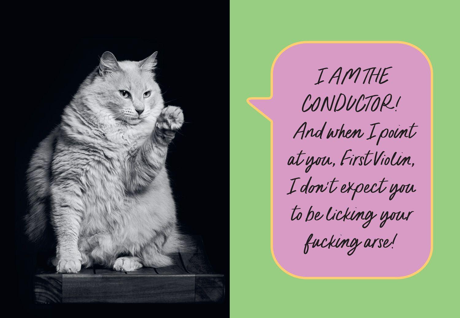 Beispielinhalt (Bild) Sweary Cats