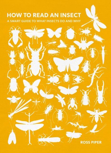 Vorderes Coverbild How to Read an Insect