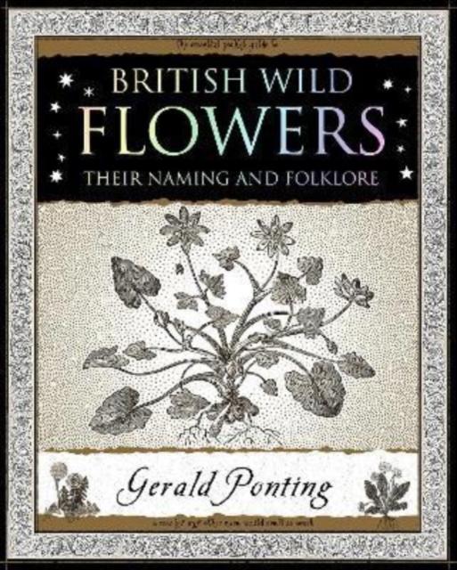 Vorderes Coverbild British Wild Flowers