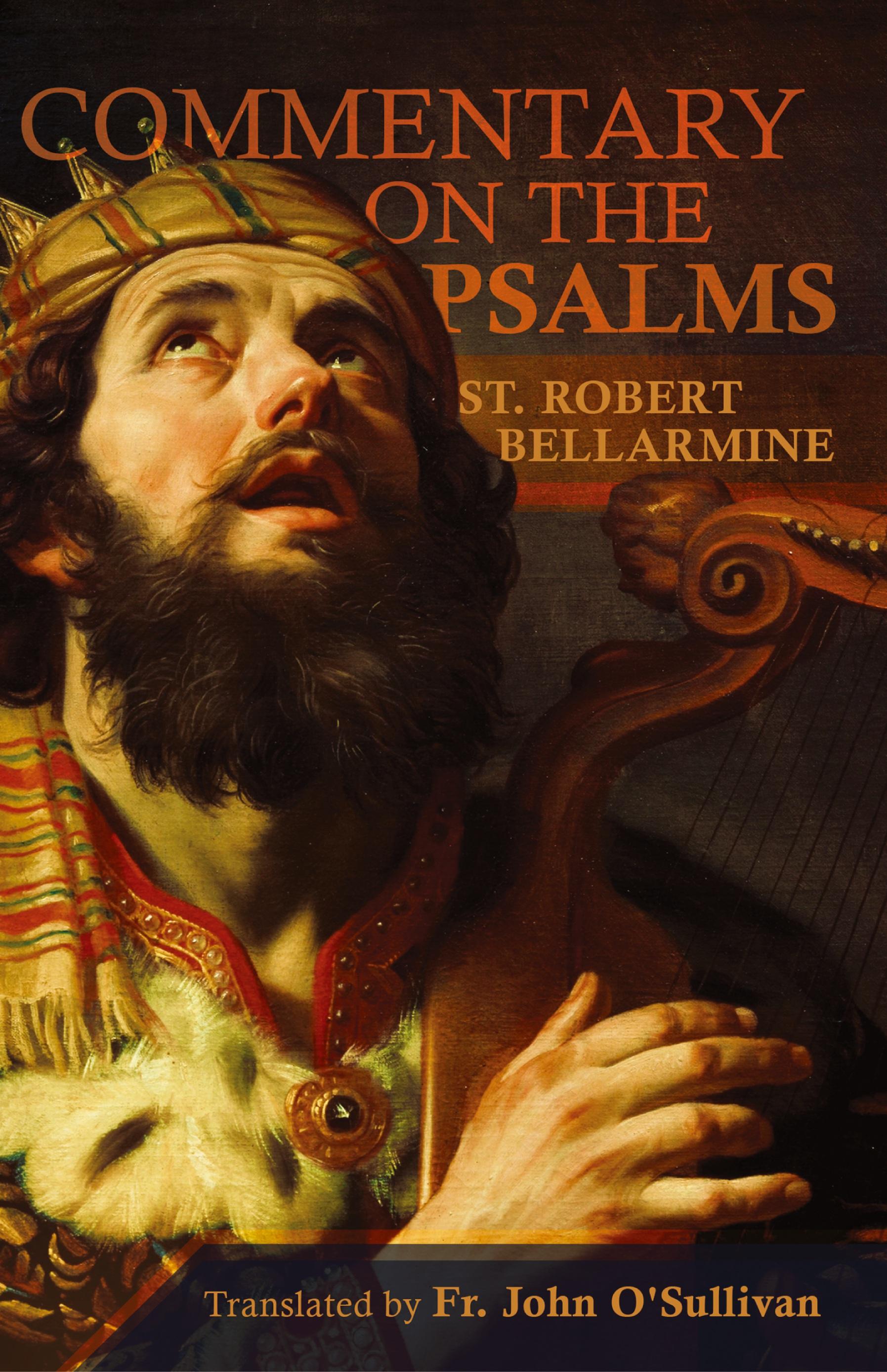 Vorderes Coverbild A Commentary on the Book of Psalms