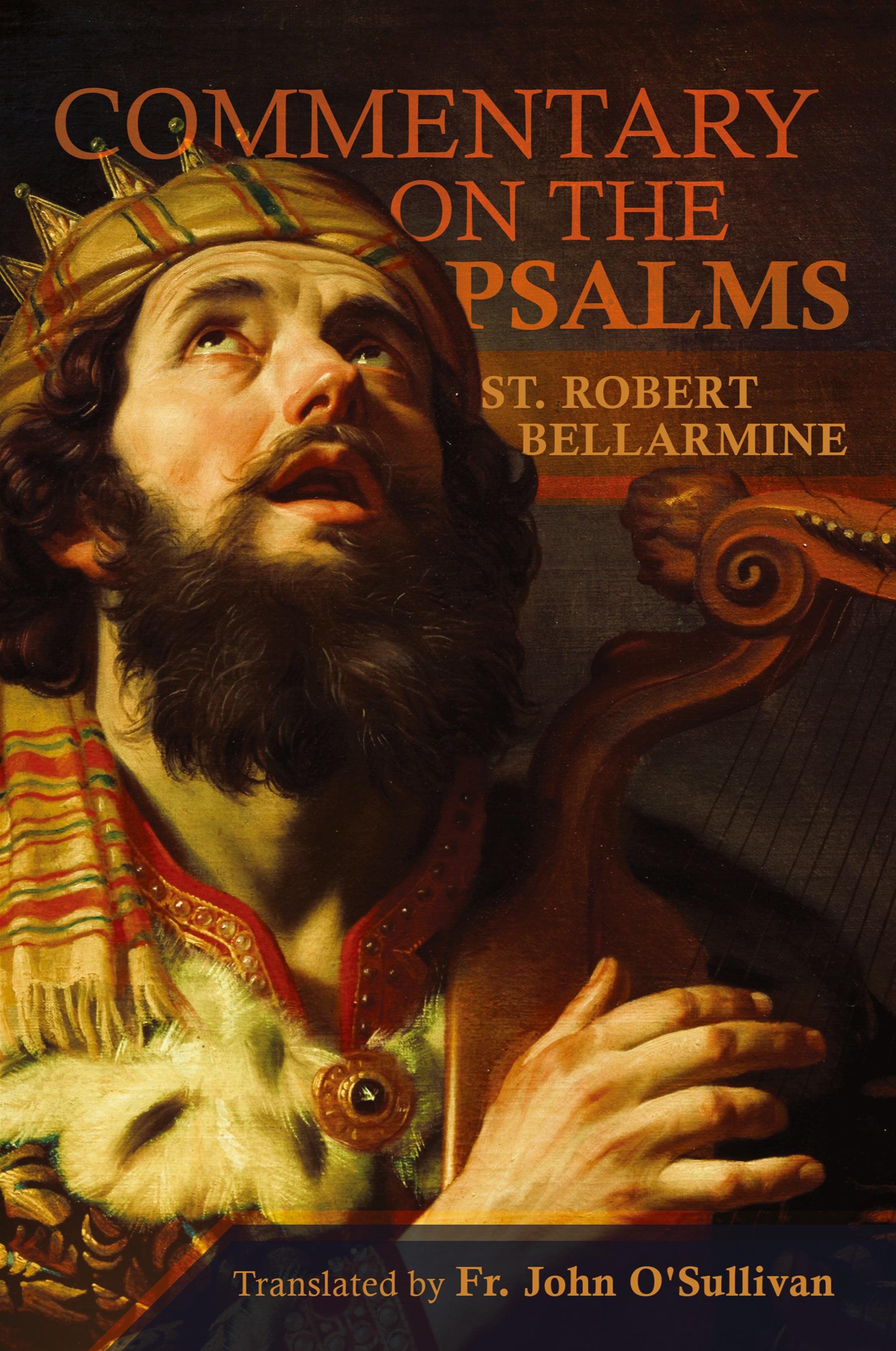 Vorderes Coverbild A Commentary on the Book of Psalms