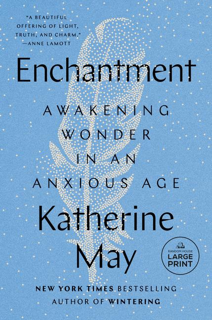 Vorderes Coverbild Enchantment