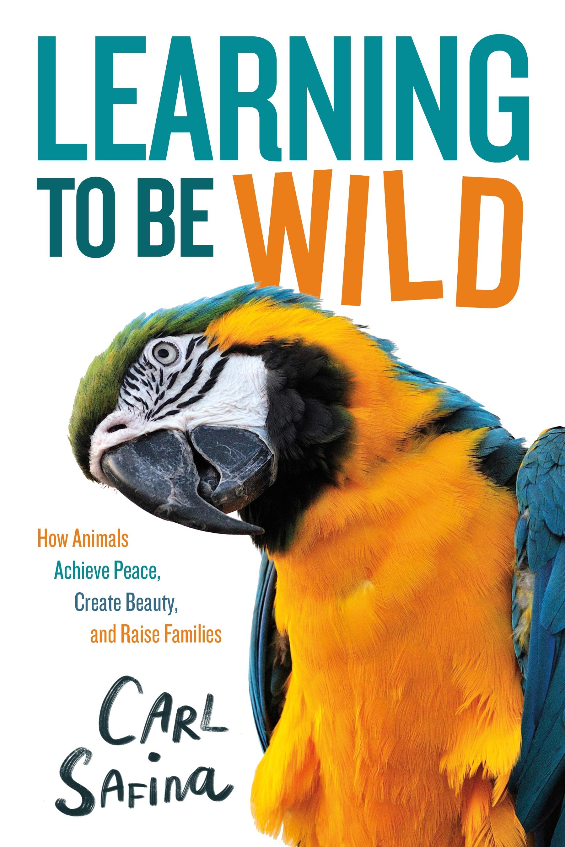 Vorderes Coverbild Learning to Be Wild (a Young Reader's Adaptation)