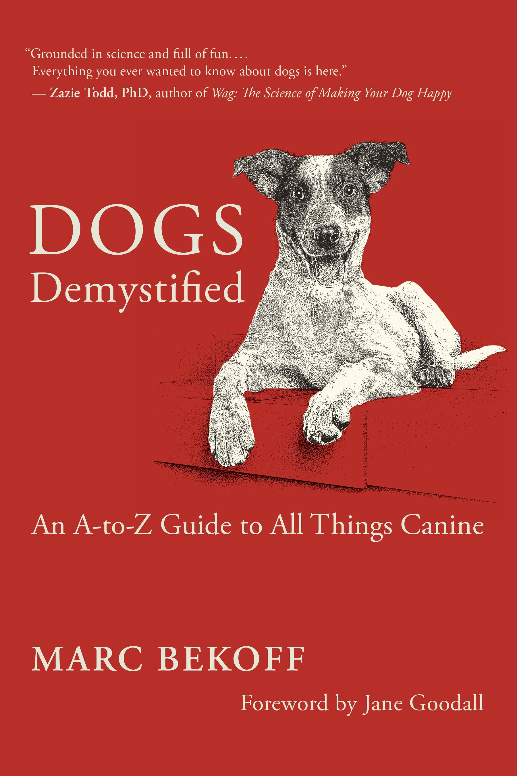 Vorderes Coverbild Dogs Demystified