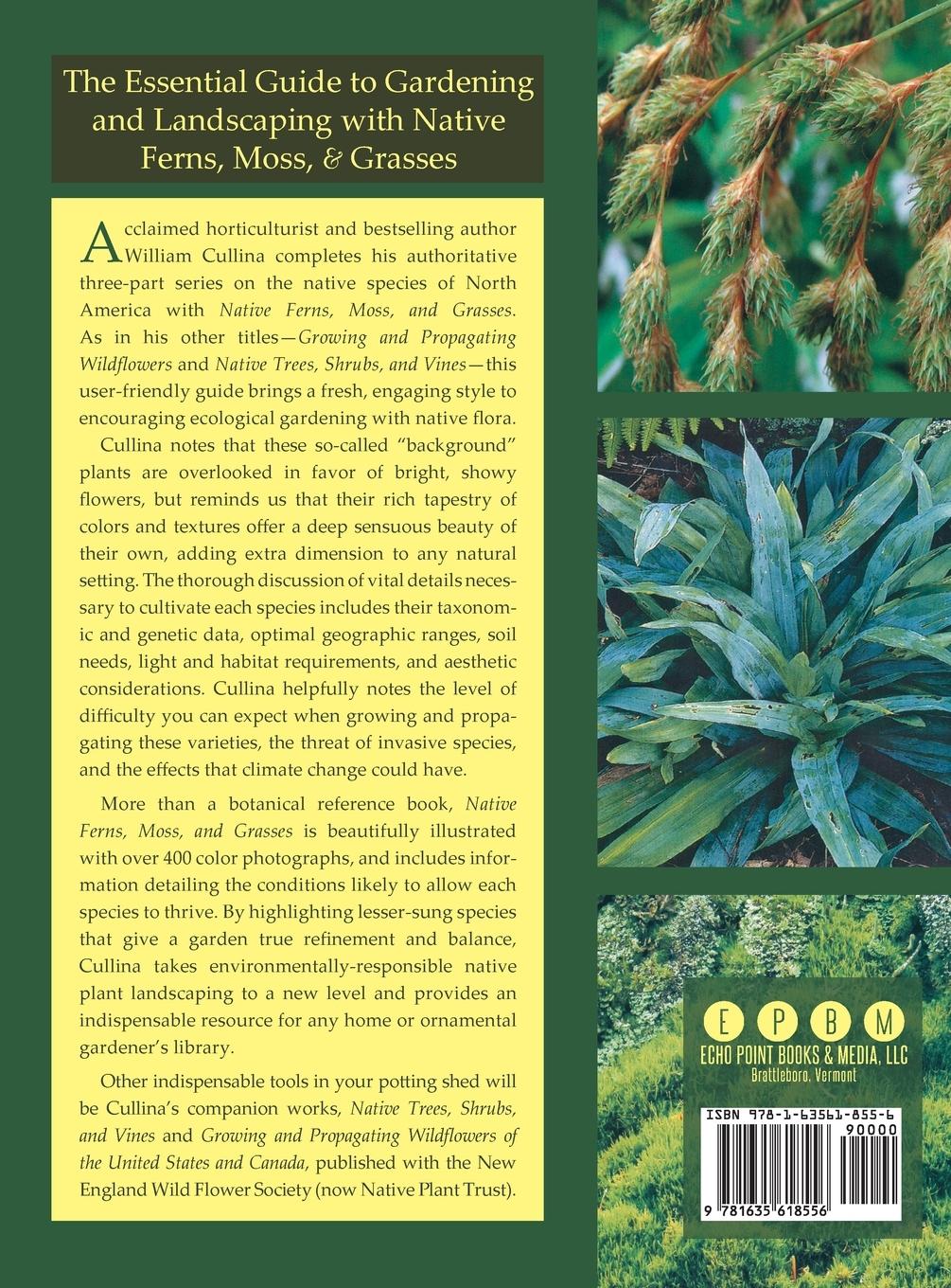 Rückseitencover Native Ferns, Moss, and Grasses