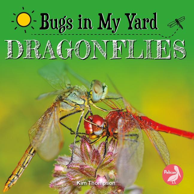 Vorderes Coverbild Dragonflies
